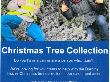 Dorothy House Christmas Tree Collection 